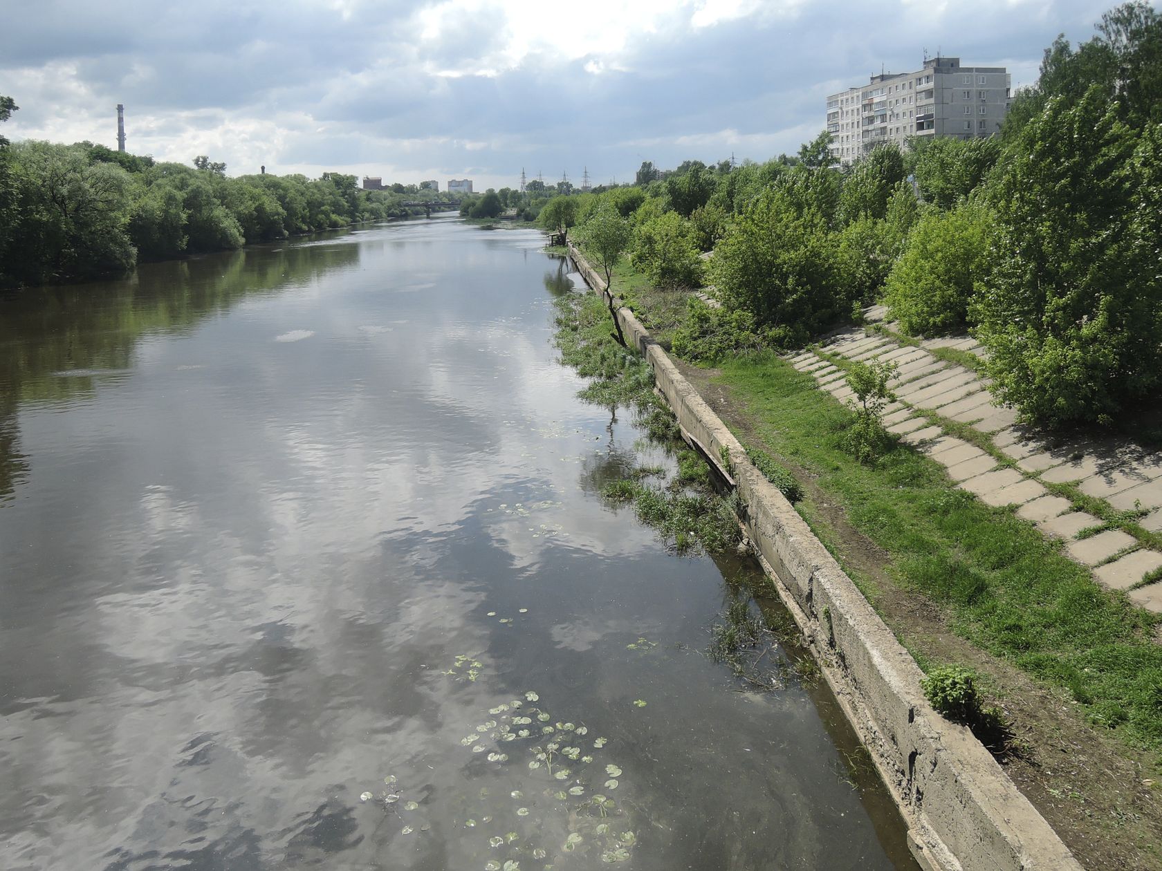 Орехово-Зуево и окрестности, image of landscape/habitat.