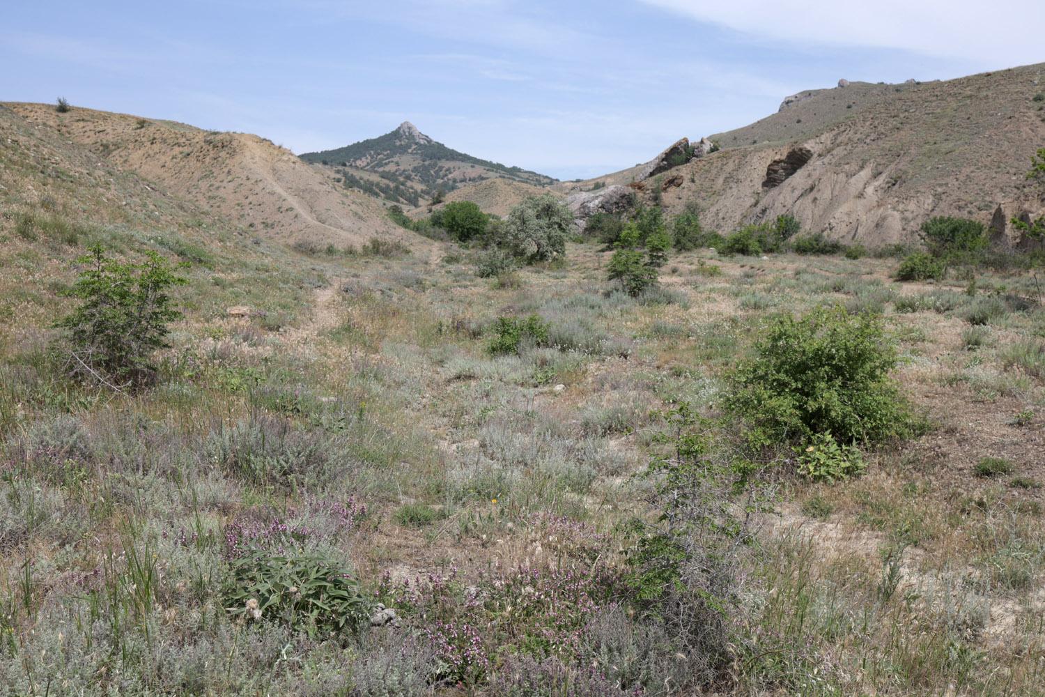 Лисья бухта, image of landscape/habitat.