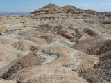Горы Сырт, image of landscape/habitat.