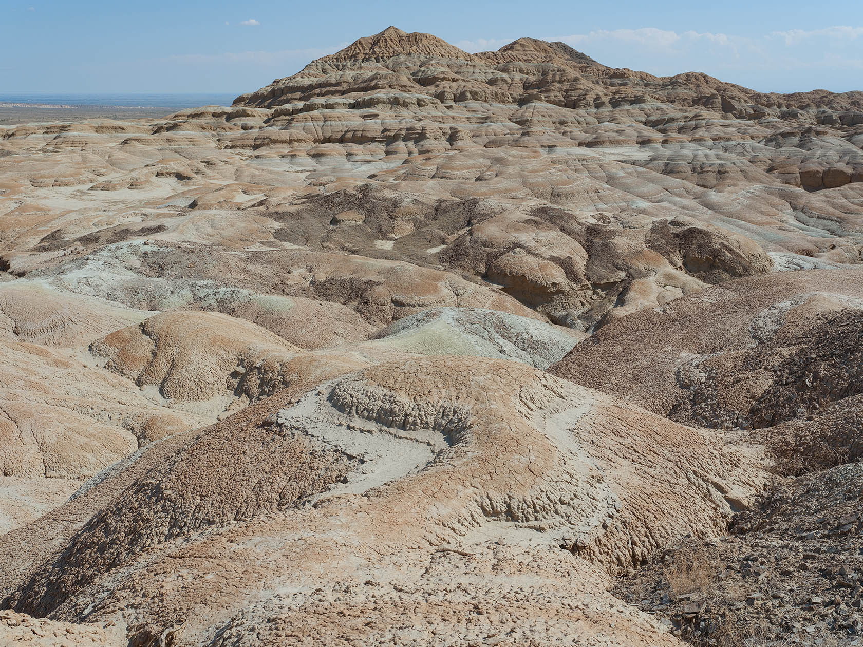 Горы Сырт, image of landscape/habitat.