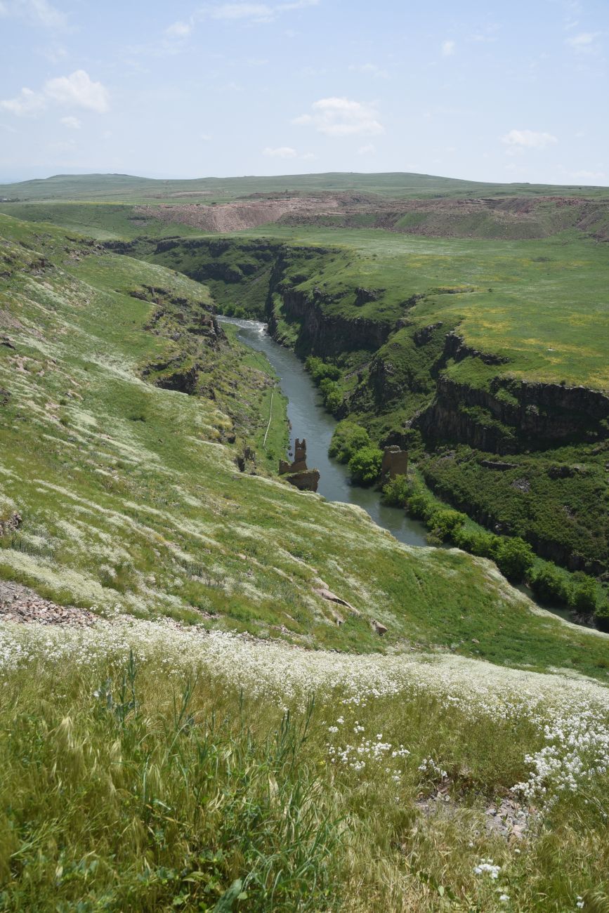 Окрестности бывшего города Ани, image of landscape/habitat.