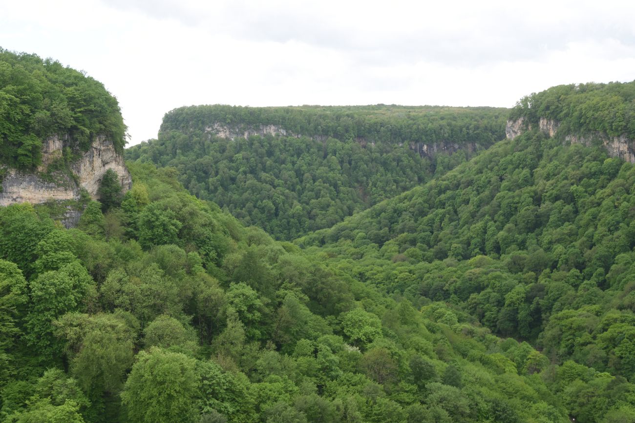 Долина Белой около Руфабго, image of landscape/habitat.