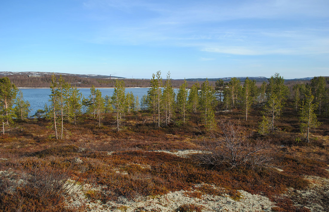 Губа Грязная, image of landscape/habitat.