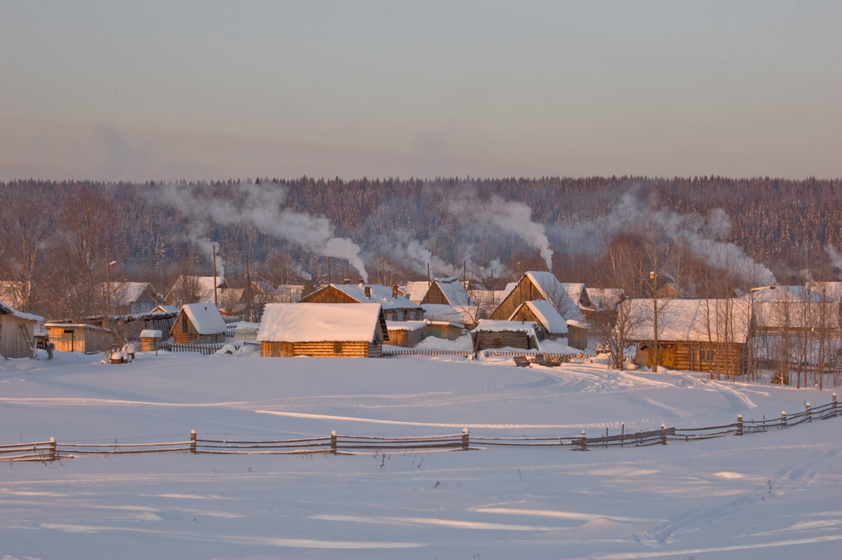 Окрестности поселка Велс, image of landscape/habitat.