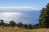 Image of landscape
