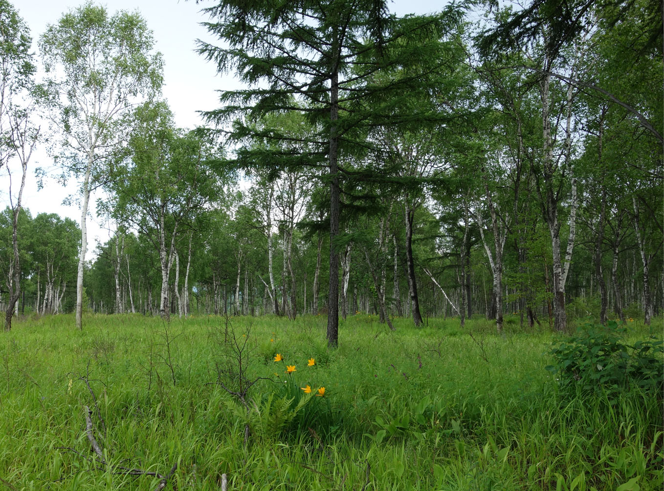 Ванино и окрестности, image of landscape/habitat.