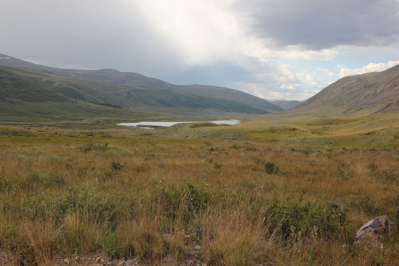 Верховья реки Джумалы, image of landscape/habitat.