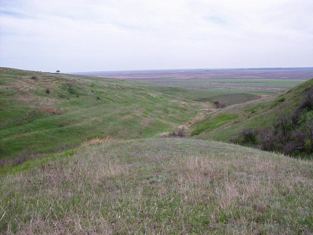Аксайская степь, изображение ландшафта.