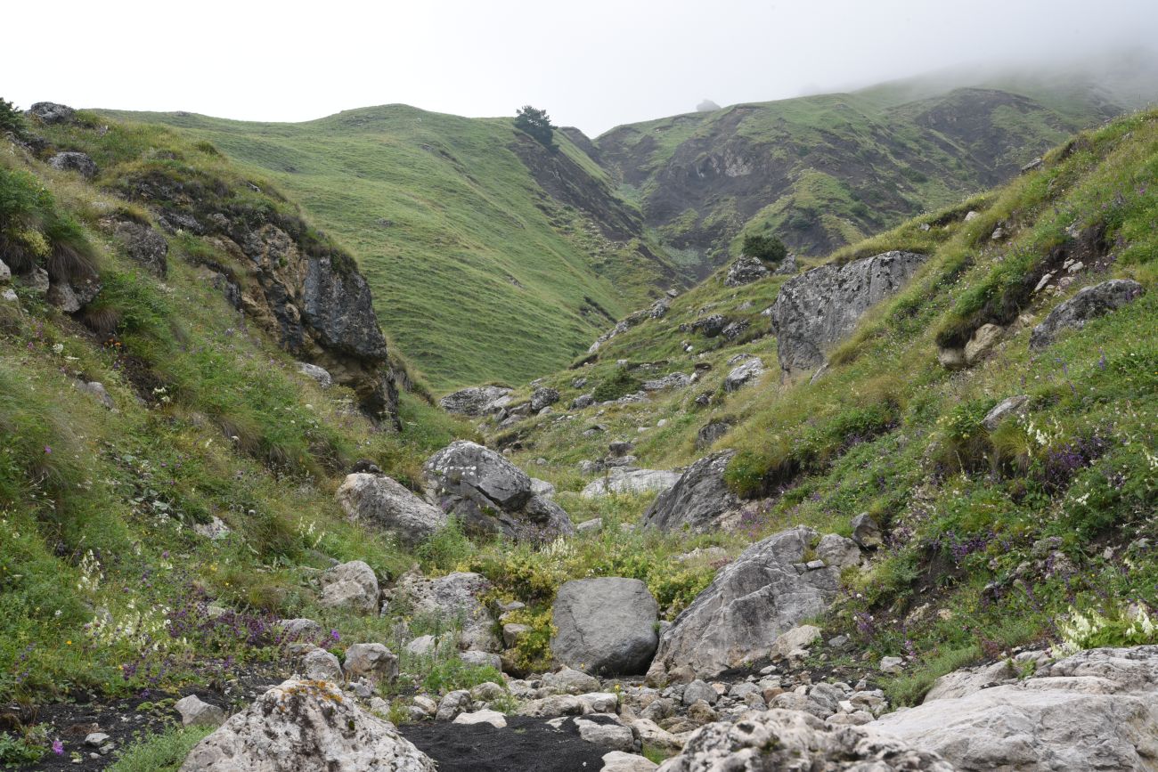 Альплагерь "Кязи" и окрестности, image of landscape/habitat.