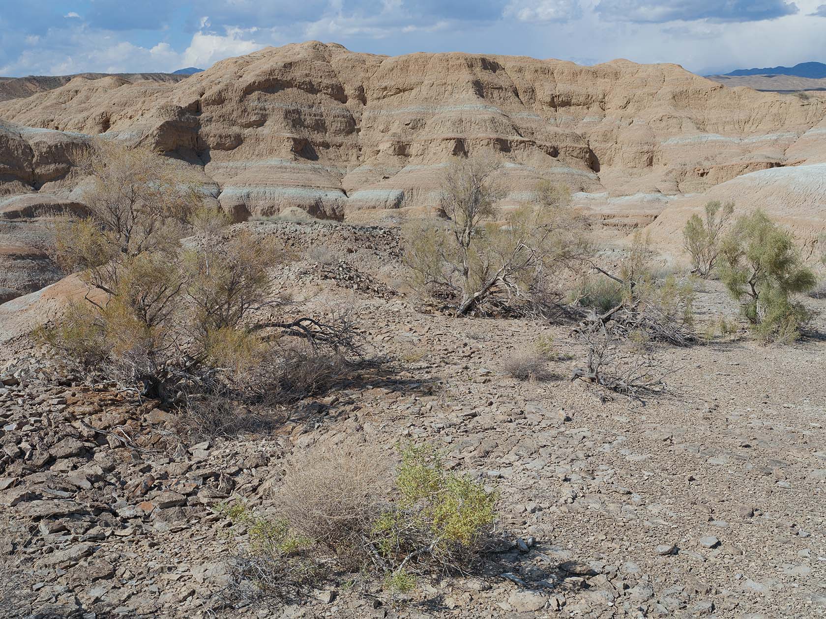 Горы Сырт, image of landscape/habitat.
