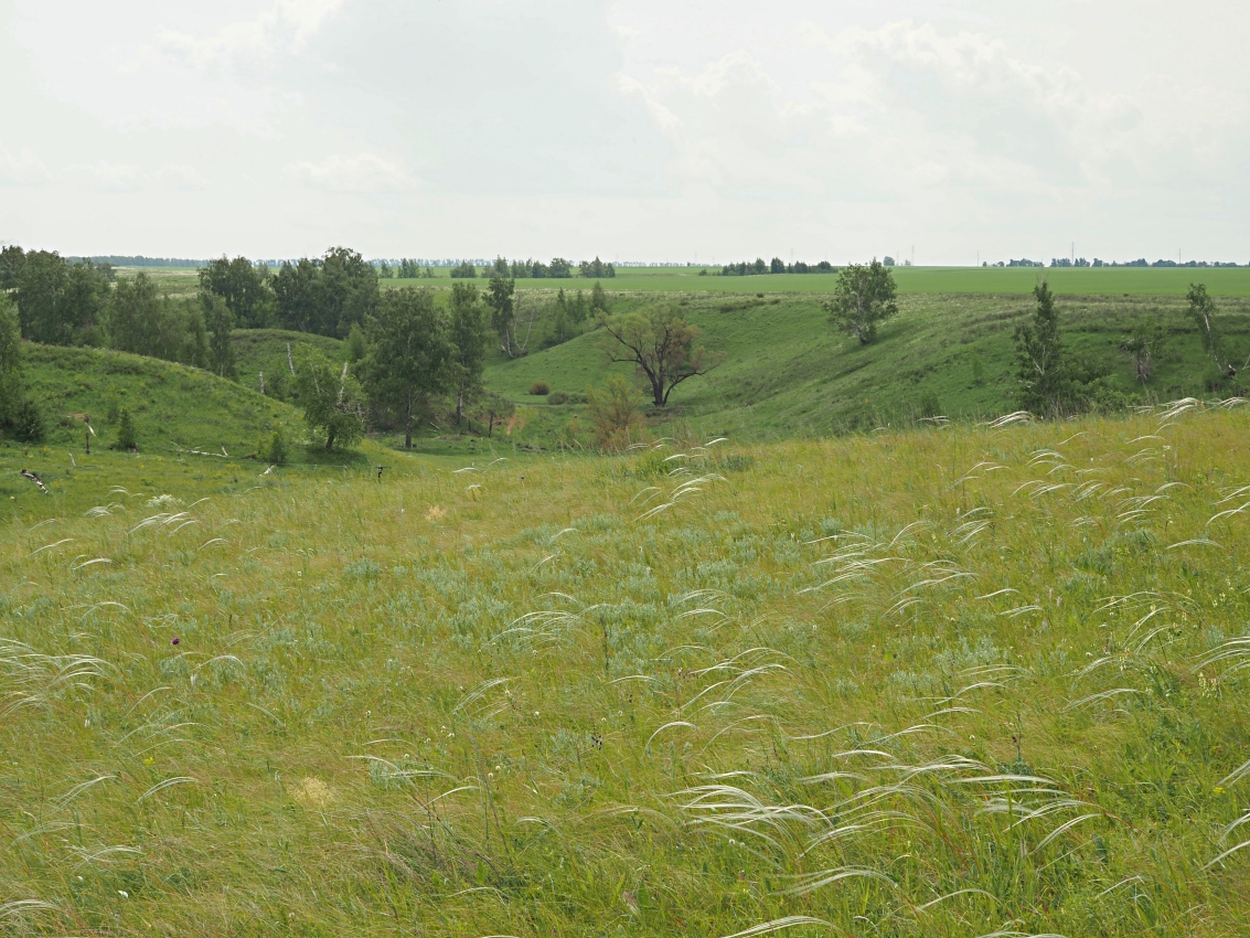 Долина реки Бирля и окрестности, image of landscape/habitat.