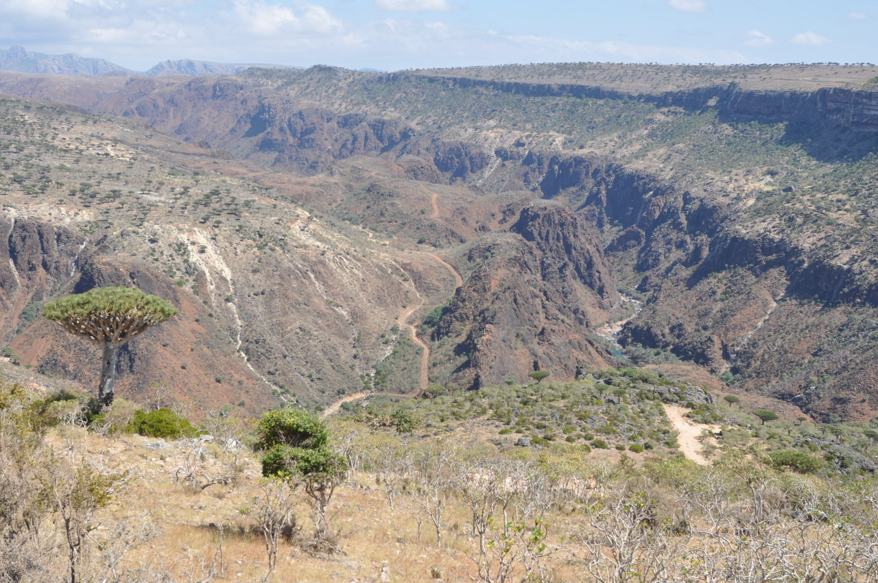 Плато Диксам, image of landscape/habitat.