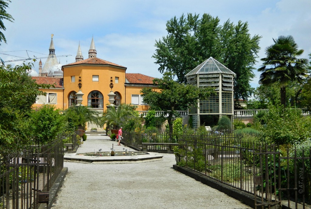 Ботсад Падуи (Orto Botanico), image of landscape/habitat.