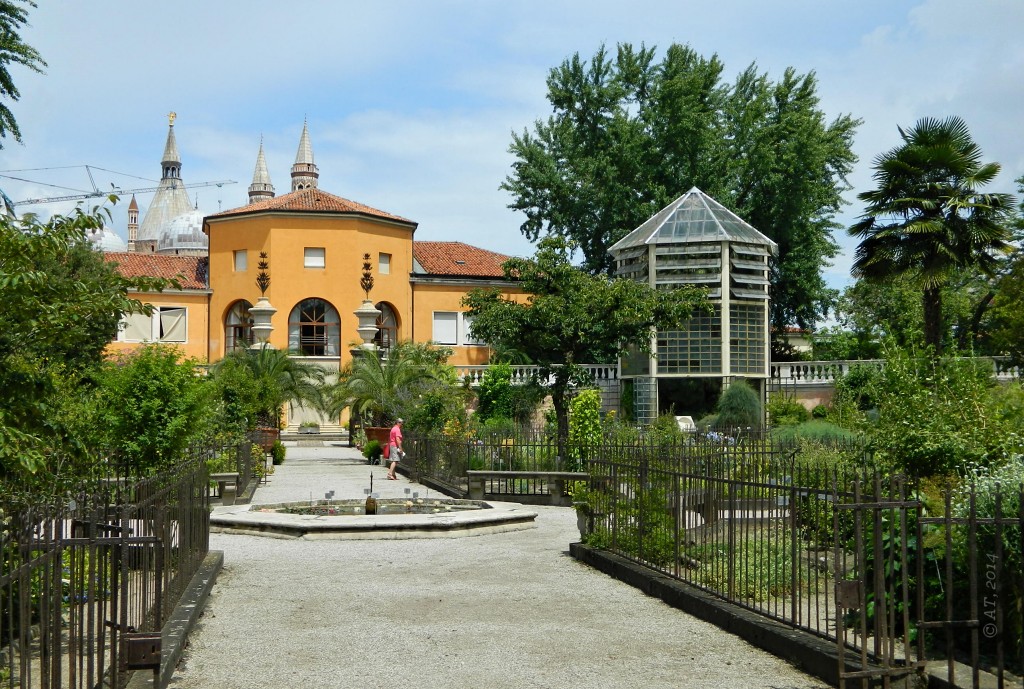 Падуя, image of landscape/habitat.