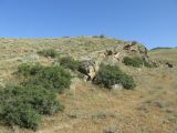 Image of landscape