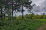 Image of landscape
