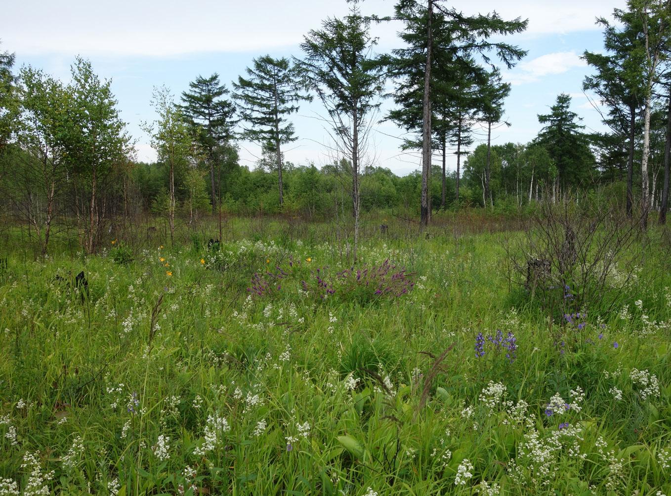 Ванино и окрестности, image of landscape/habitat.