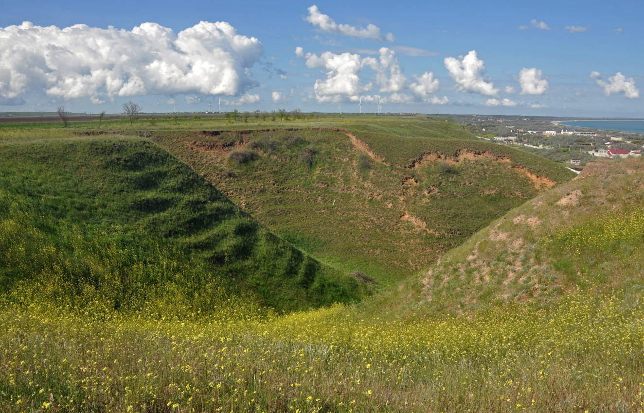 Новоотрадное, image of landscape/habitat.