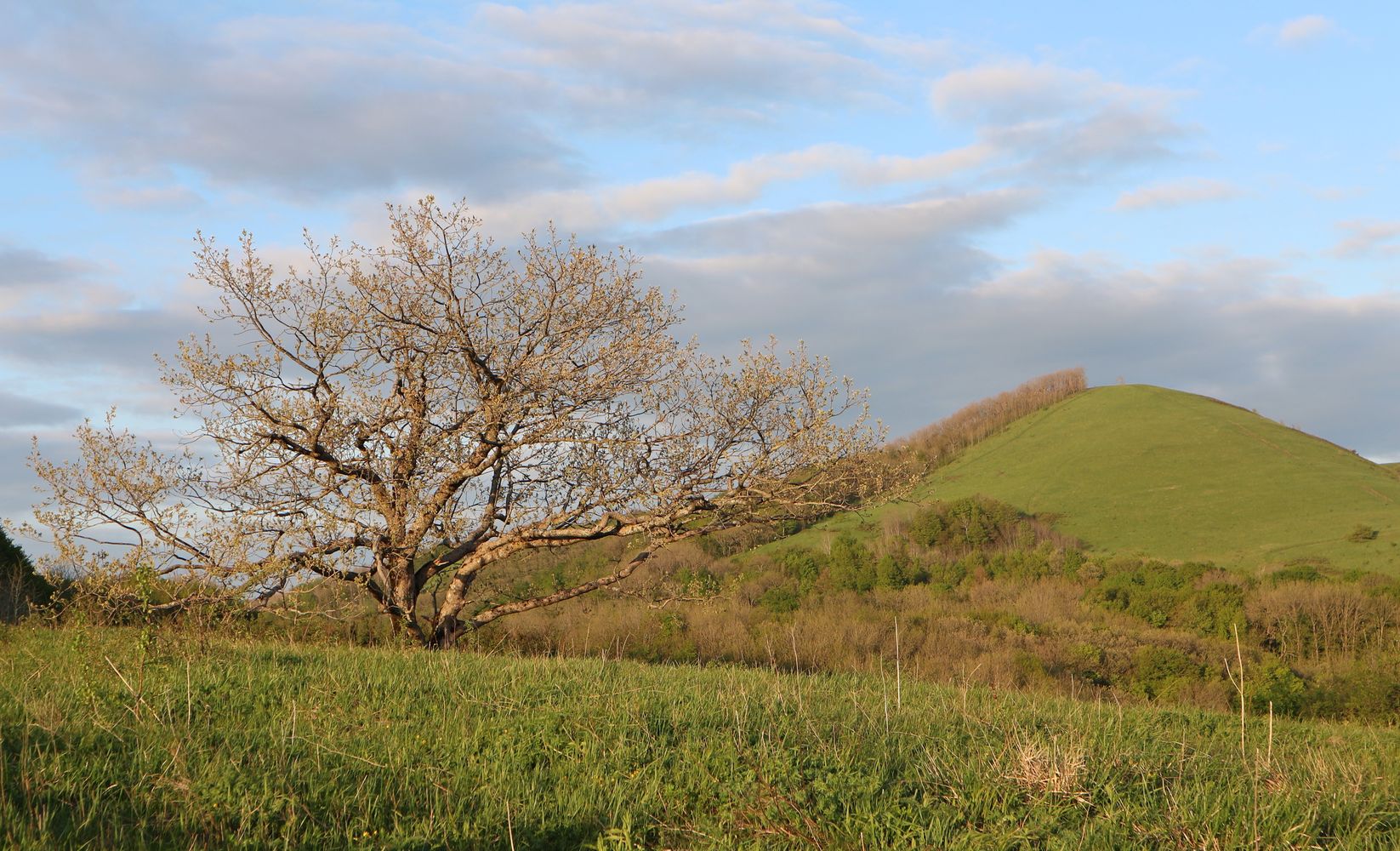 Гора Чубатая, image of landscape/habitat.