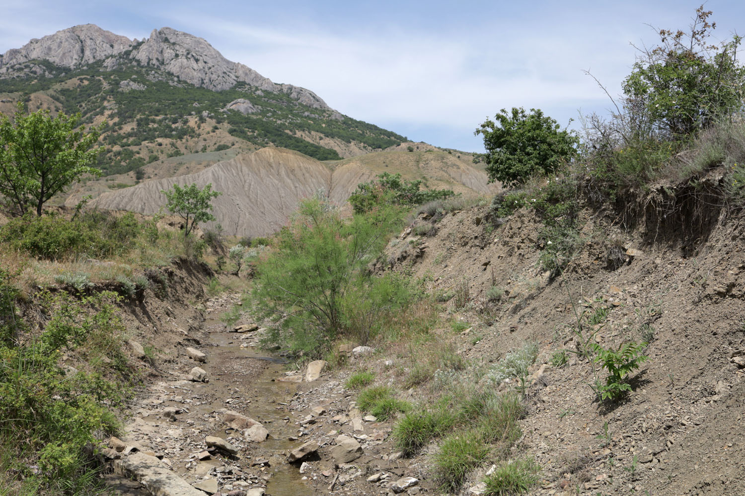 Лисья бухта, image of landscape/habitat.