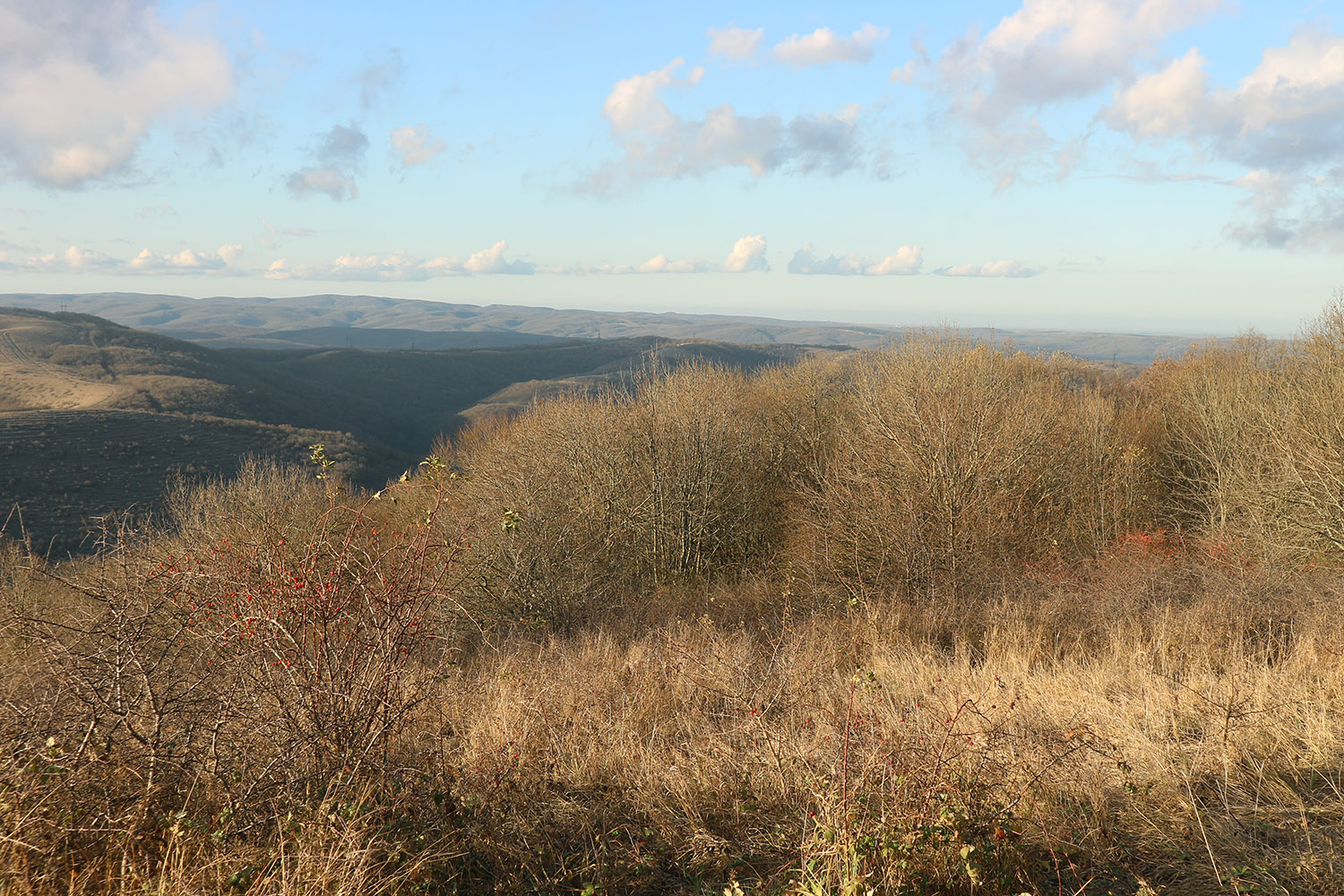 Лысая-Неберджаевская, image of landscape/habitat.