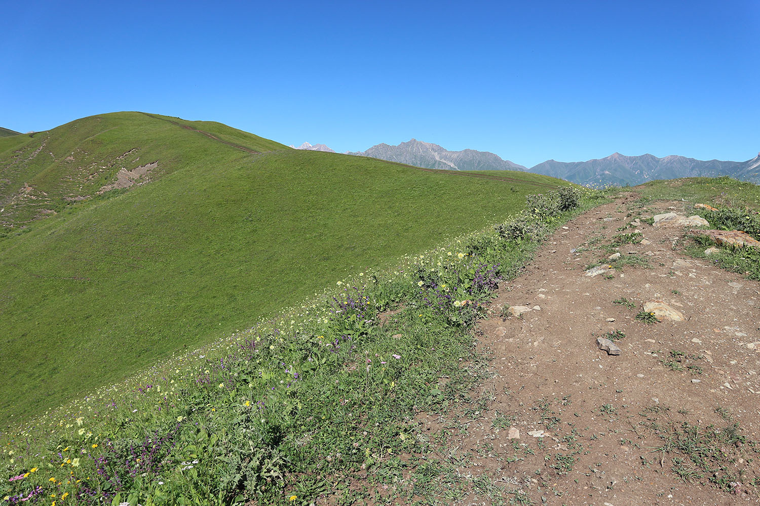 Перевал Северный Курноят, image of landscape/habitat.