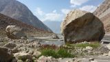 Image of landscape