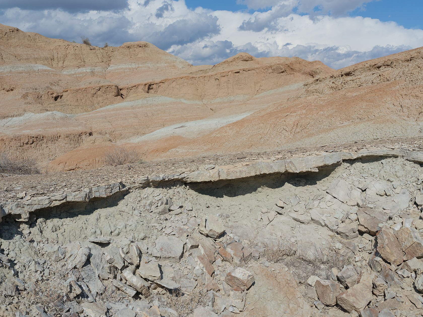 Горы Сырт, image of landscape/habitat.