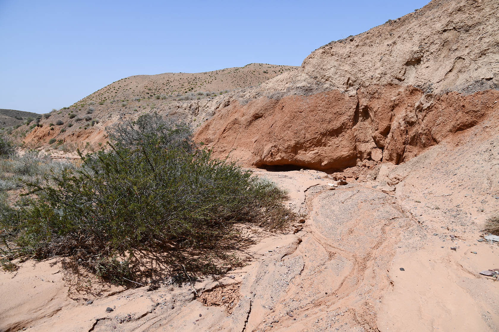 Бала-Богуты, image of landscape/habitat.