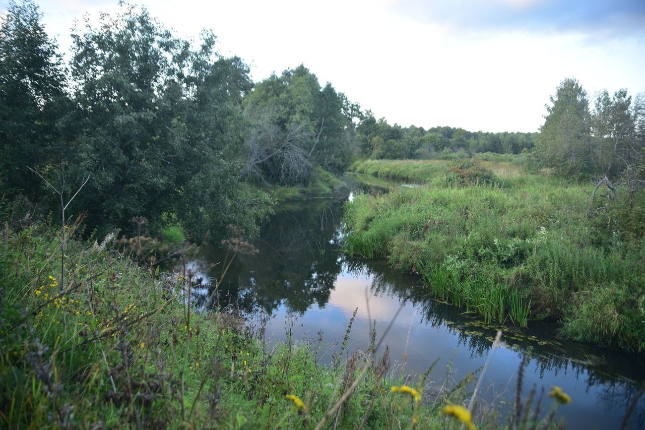 Савино и окрестности, image of landscape/habitat.