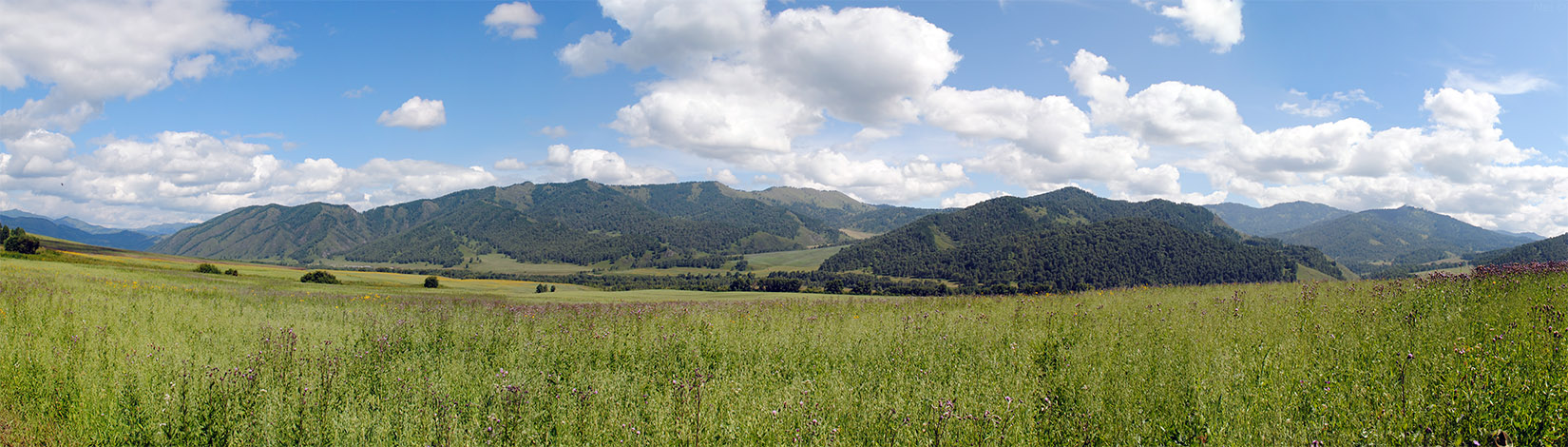 Сема, image of landscape/habitat.