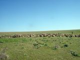 Image of landscape