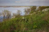 Правый берег реки Зай, изображение ландшафта.