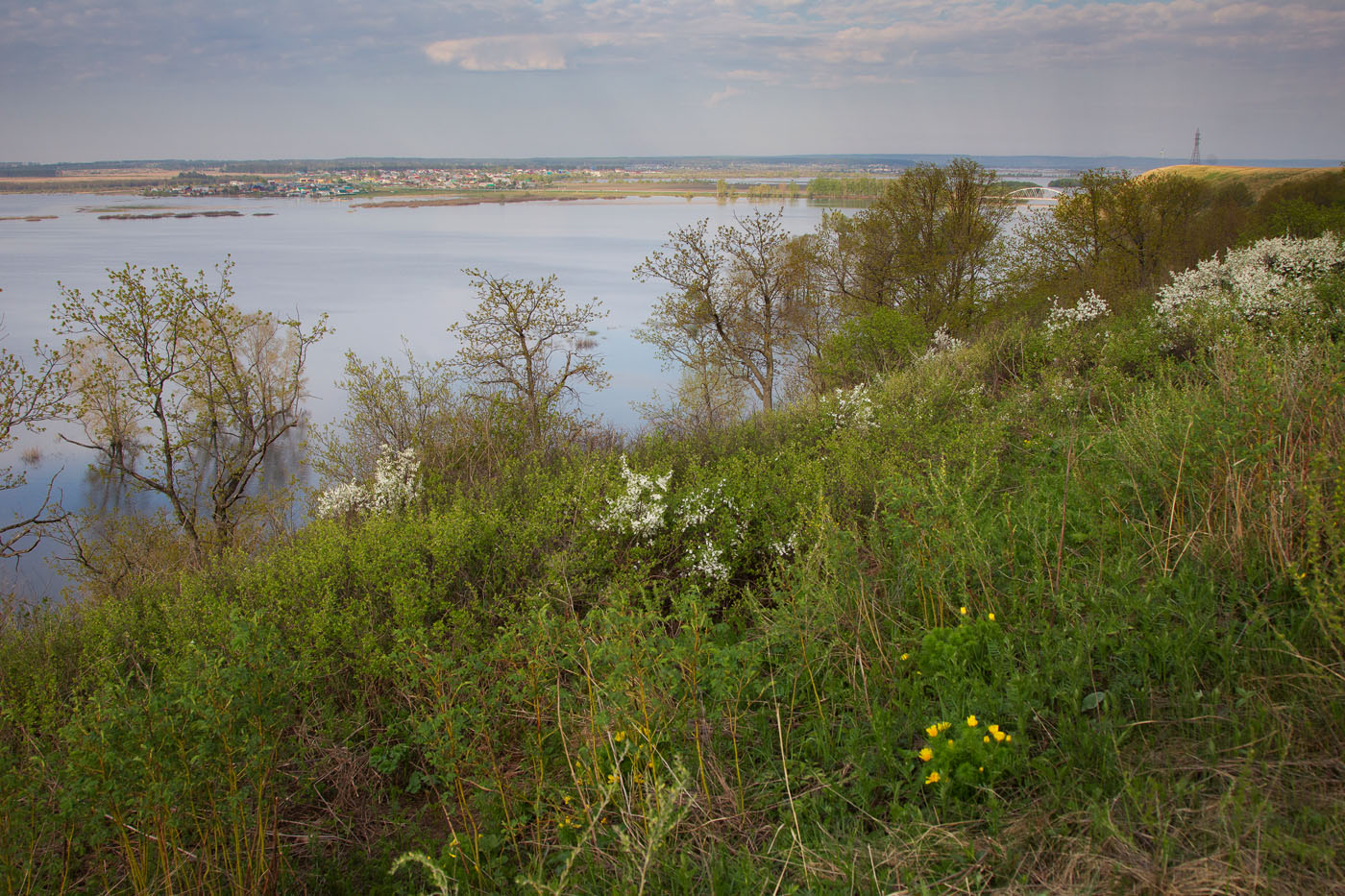 Правый берег реки Зай, image of landscape/habitat.