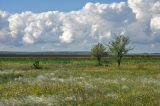 Image of landscape