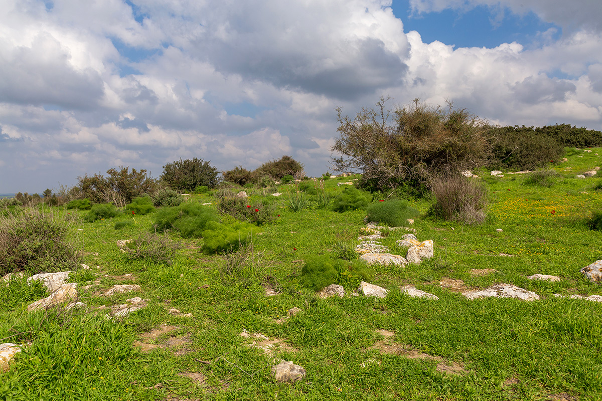 Мареша, image of landscape/habitat.