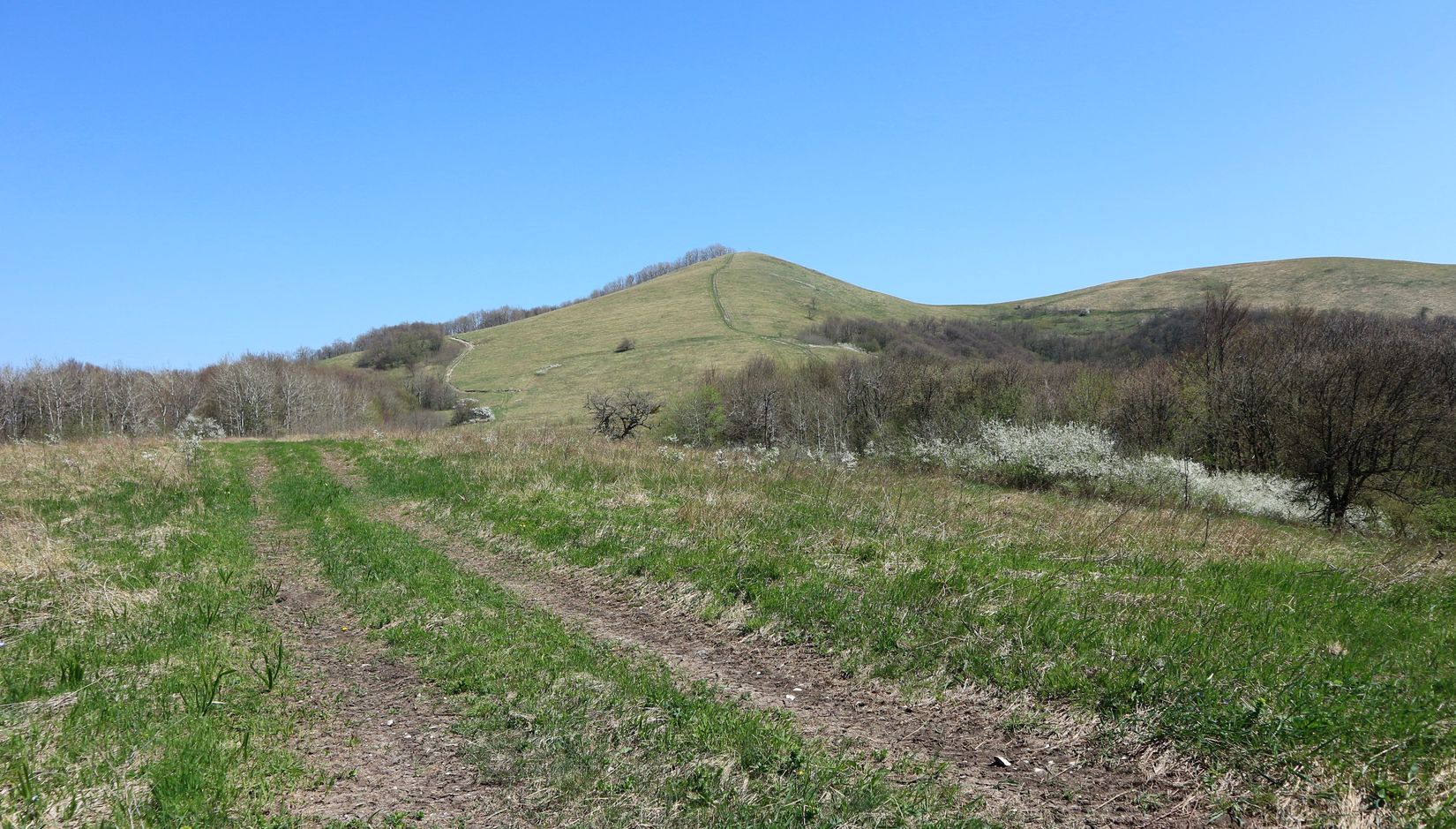 Гора Чубатая, image of landscape/habitat.