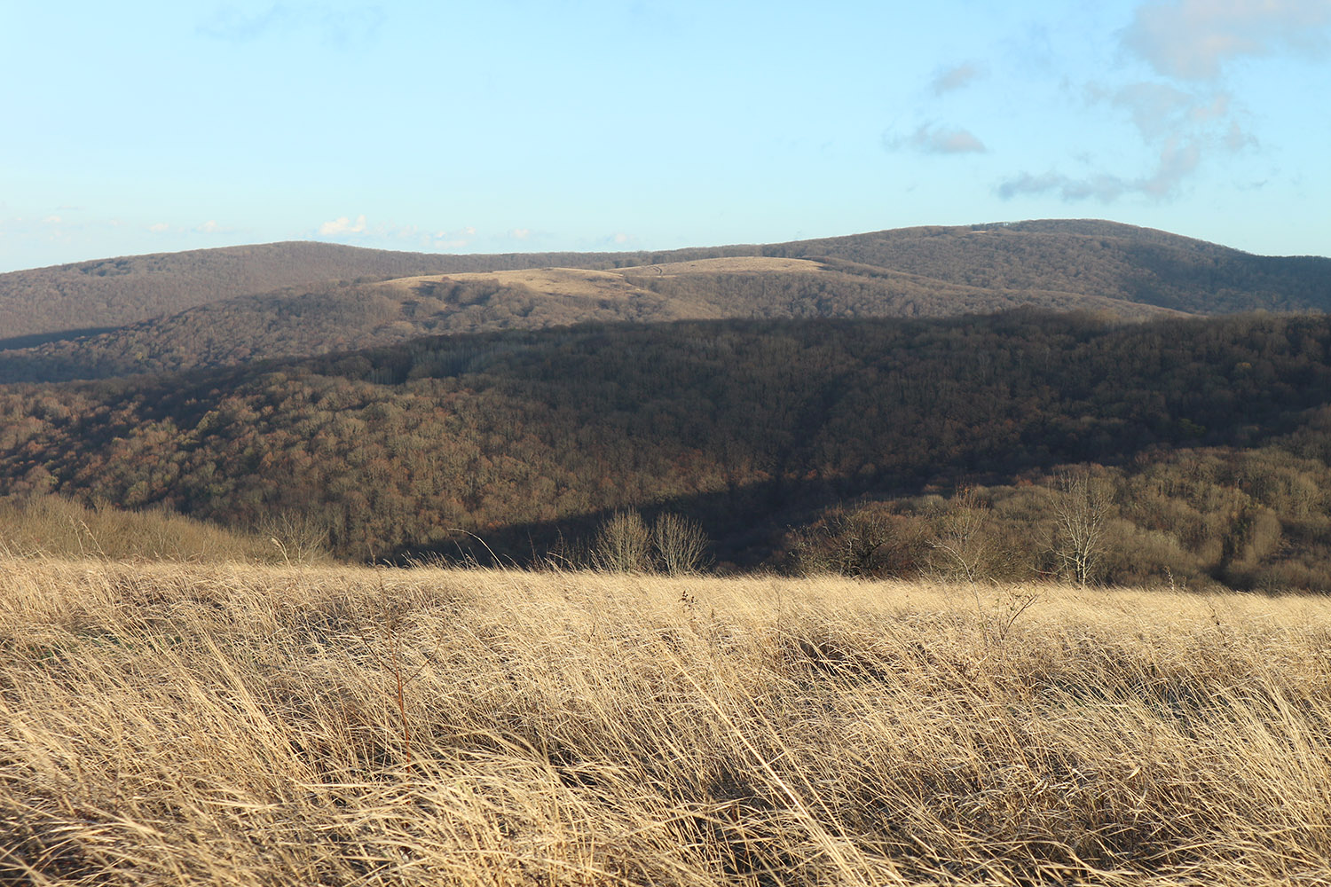 Лысая-Неберджаевская, image of landscape/habitat.