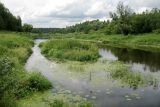 Image of landscape