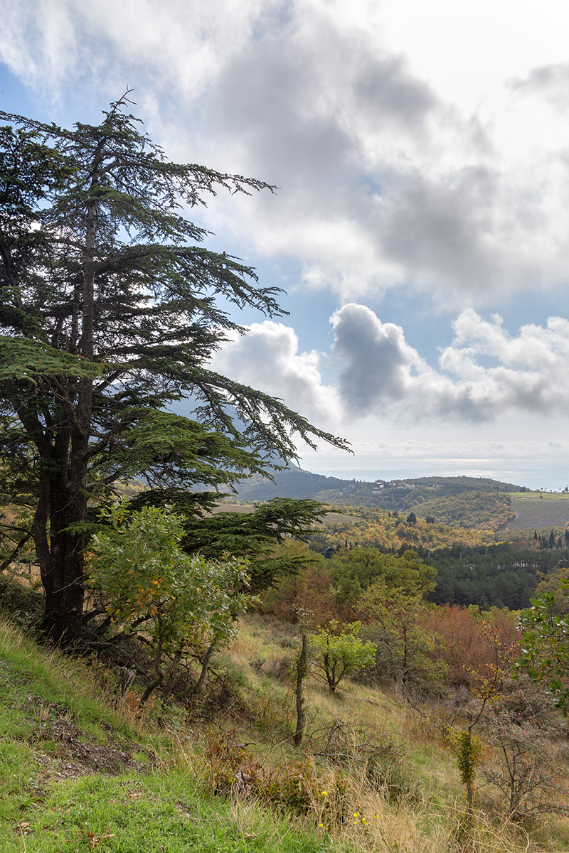 Партенит и окрестности, image of landscape/habitat.