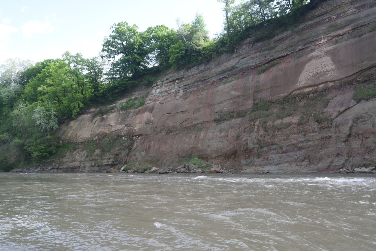 Урочище Бокши, image of landscape/habitat.