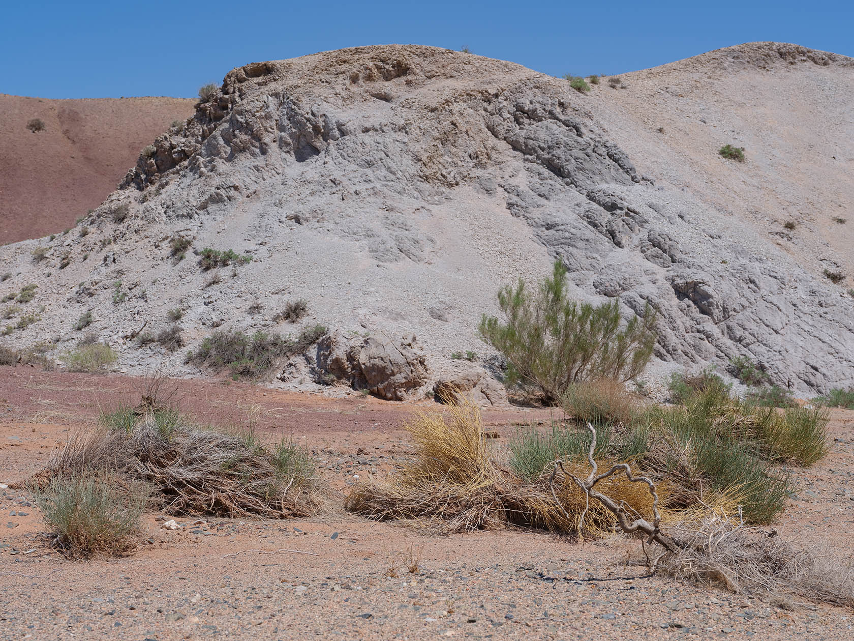 Горы Улькен-Богуты, image of landscape/habitat.