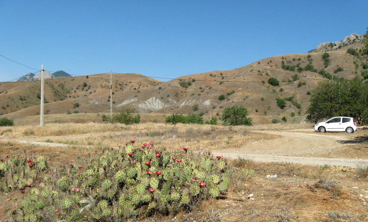 Карадаг, image of landscape/habitat.