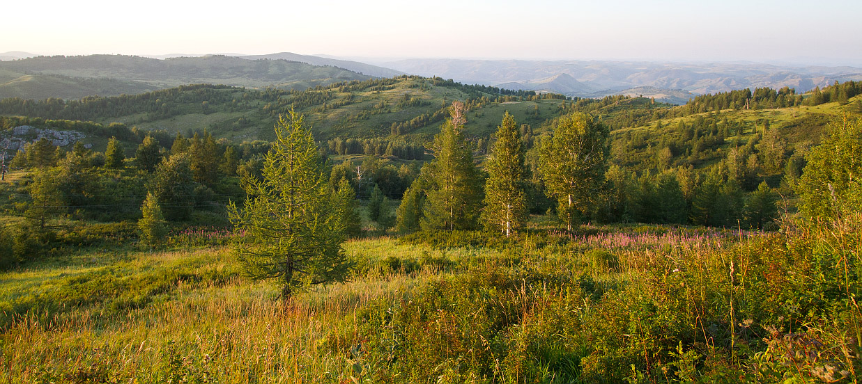 Тигирек, image of landscape/habitat.