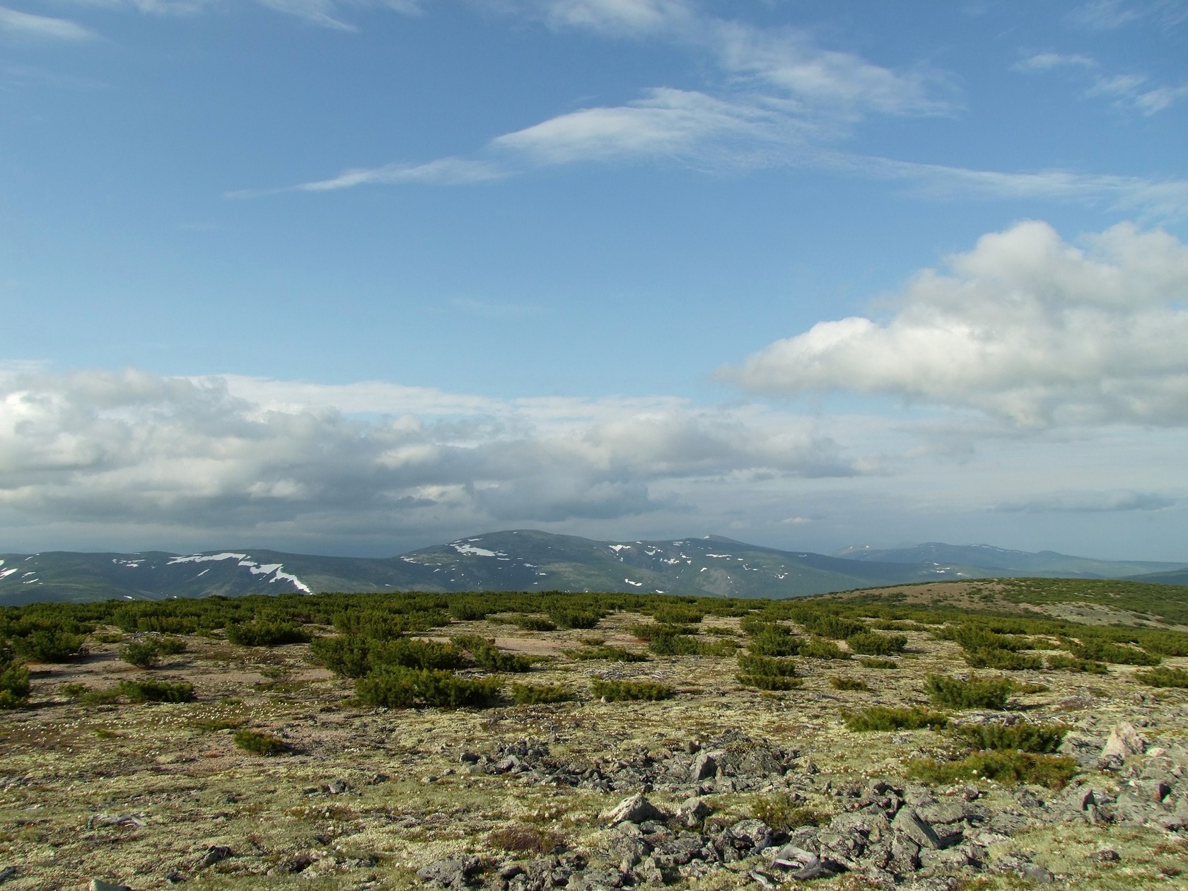 Водораздел Дукчи и Омчика, image of landscape/habitat.