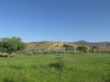 Image of landscape