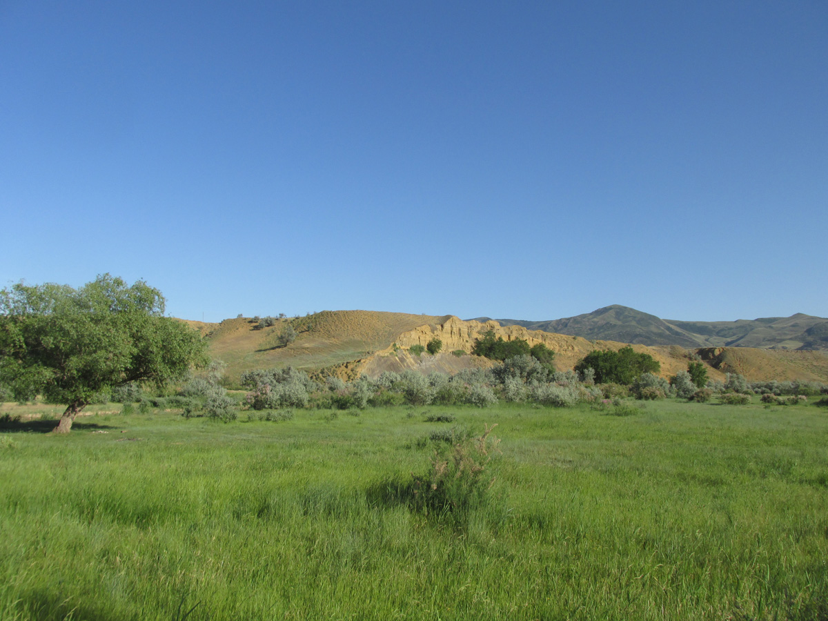 Долина реки Шураозень, image of landscape/habitat.