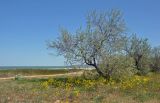 Image of landscape