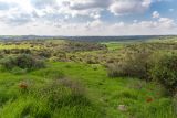 Мареша, image of landscape/habitat.