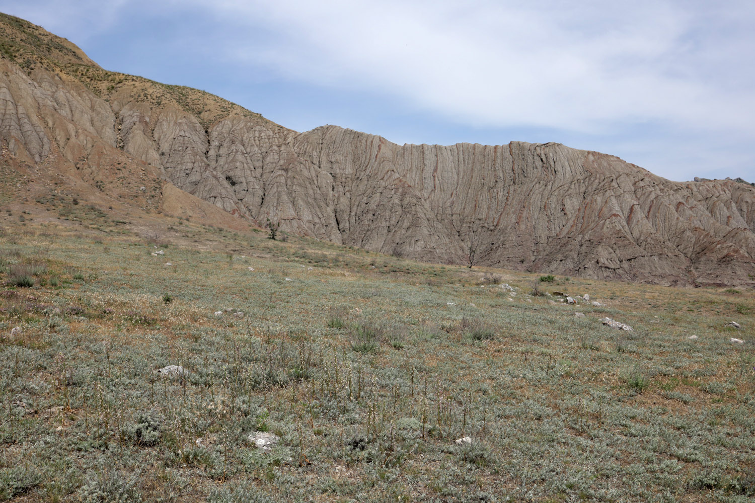 Лисья бухта, image of landscape/habitat.